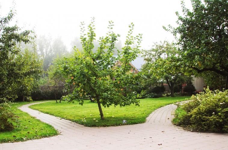 Apartamentai Obelyne Palanga Dış mekan fotoğraf