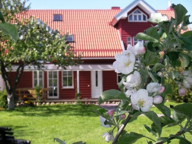 Apartamentai Obelyne Palanga Dış mekan fotoğraf