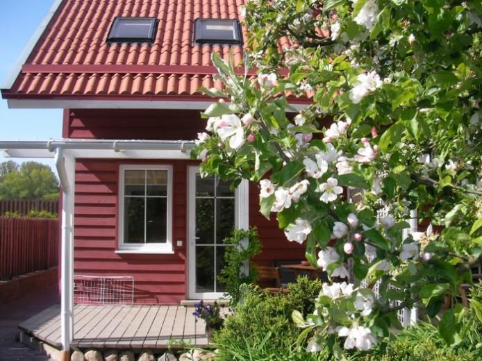 Apartamentai Obelyne Palanga Dış mekan fotoğraf