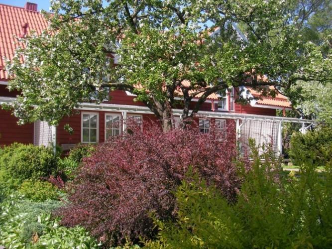 Apartamentai Obelyne Palanga Dış mekan fotoğraf