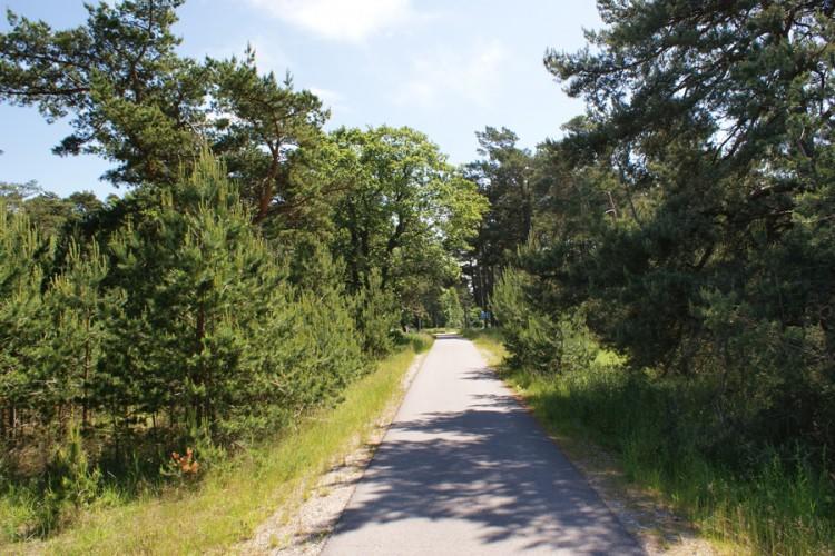 Apartamentai Obelyne Palanga Dış mekan fotoğraf